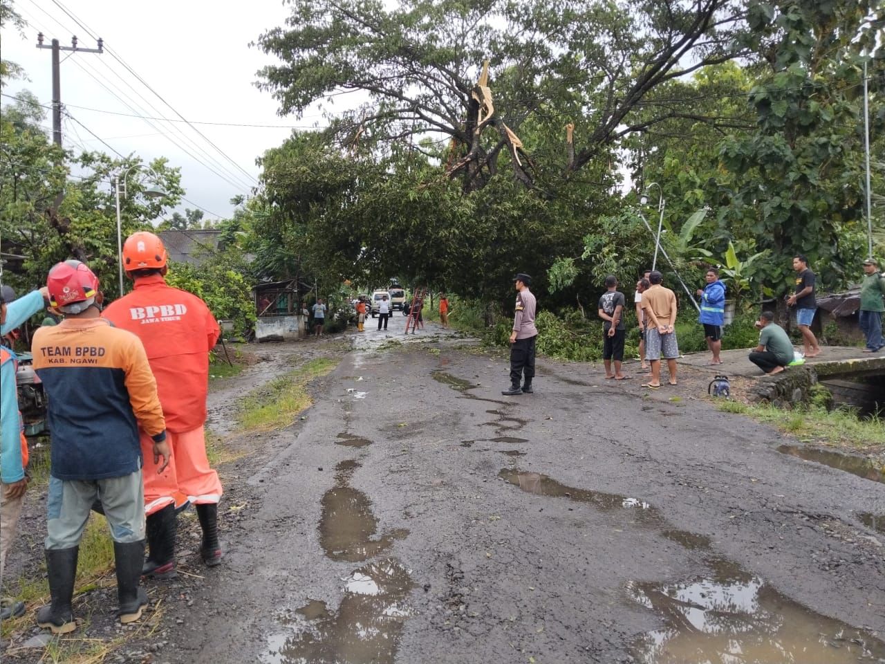 Aksi Sigap Polisi Ngawi, Evakuasi Pohon Tumbang demi Kelancaran Jalur Kedunggalar-Jogorogo