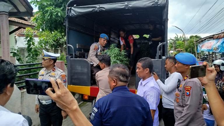 Rumah Greenhouse Ganja di Mojongapit Jombang Dikira Kosong Bertahun-tahun