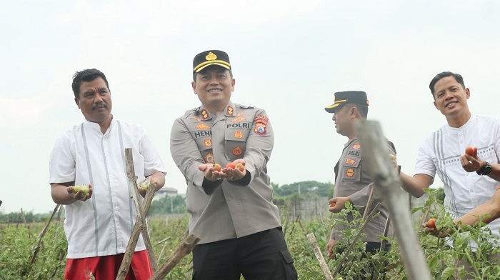 Kapolres Nganjuk Tinjau Panen Raya Tomat Dukung Program Ketahanan Pangan dan MBG