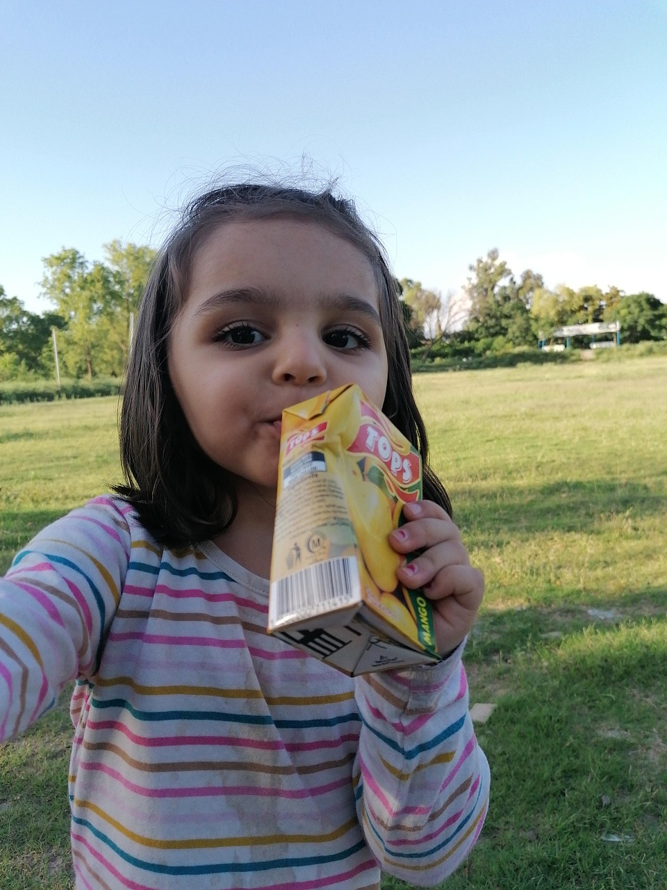 Bahaya Minuman Kemasan, Faktor Utama Usia Dini Terkena Sakit Ginjal