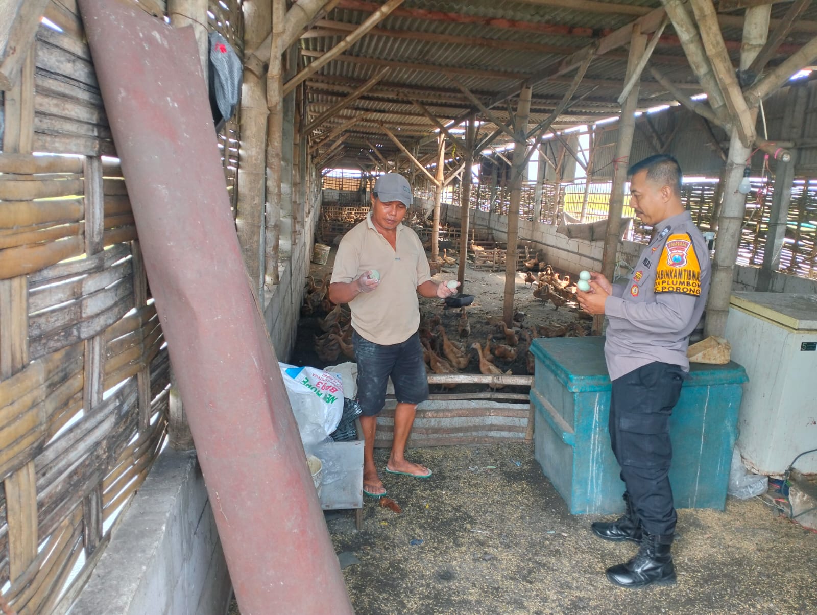 Pengecekan Program Ketahanan Pangan di Plumbon Porong, Polisi Motivasi Peternakan Bebek Petelur