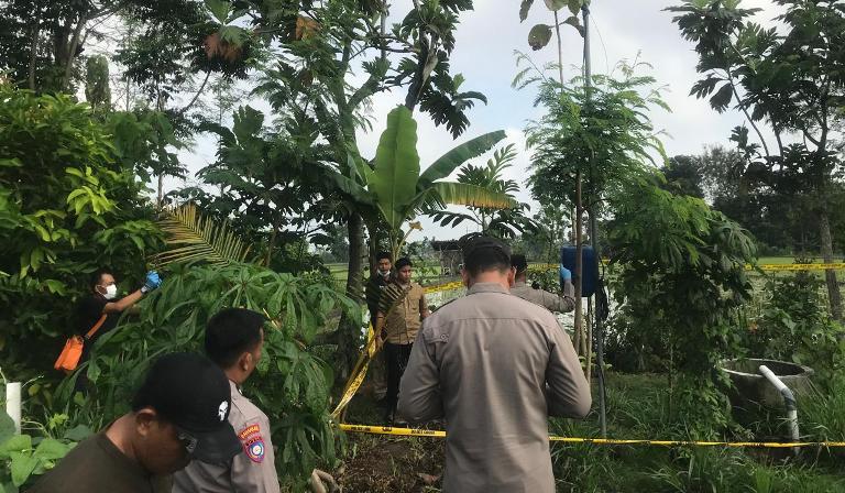 Diduga Tersengat Listrik Sibel, Warga Ponorogo Meninggal Dunia di Sawah