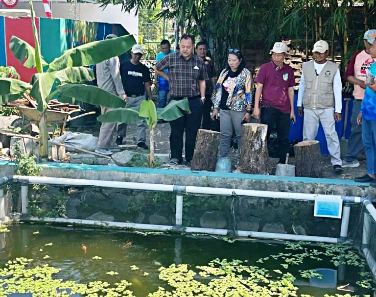 Pokdakan Caping Mina Manggala Targetkan Hasil Panen Suplai MBG Balas Klumprik