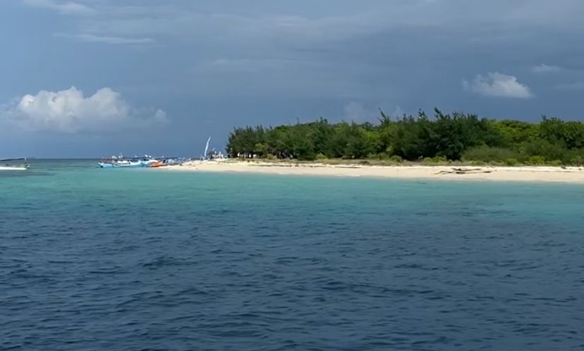 Pesona Alam Bawah Laut Pulau Tabuhan Bak Surga Tersembunyi di Selat Bali, Banyuwangi