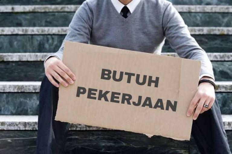 Tingkat Pengangguran Terbuka Agustus 2025 Turun, Bekurang 4.000 Orang dari Tahun Lalu