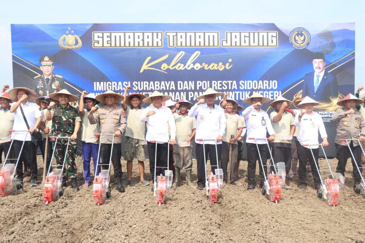 Imigrasi Surabaya dan Polresta Sidoarjo Kolaborasi Dukung Ketahanan Pangan lewat Semarak Tanam Jagung