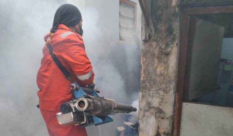 Tiga Bocah di Kupang Panjaan Terserang DBD: Warga Minta Fogging, Ini Penjelasan Lurah