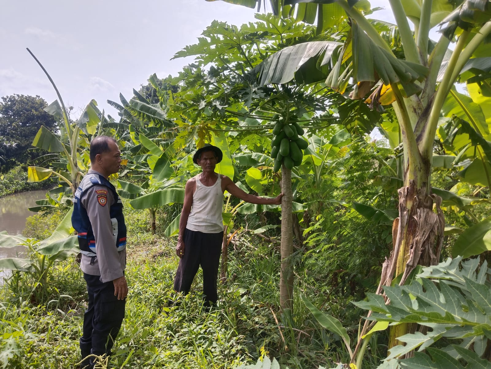 Bhabinkamtibmas Sidokerto Imbau Warga Rawat Tanaman Pisang, Dukung Ketahanan Pangan