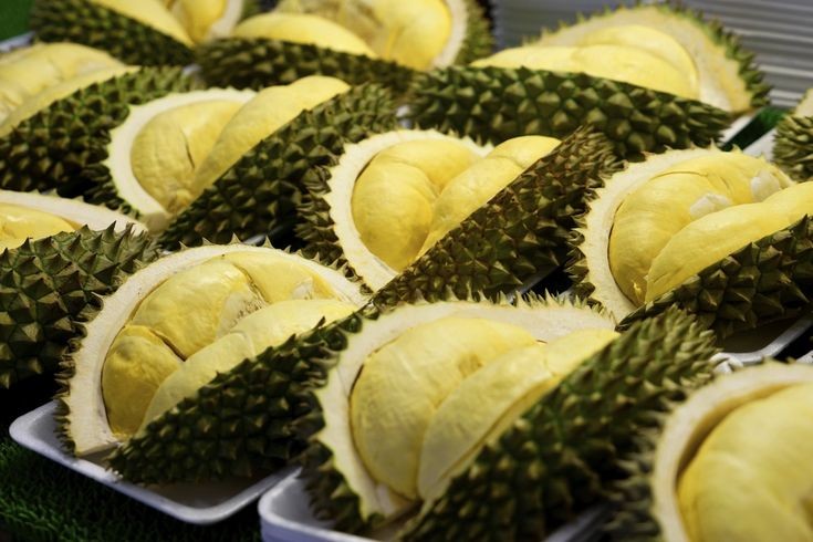 Kenali Penyebab Pusing Setelah Makan Durian dan Cara Ampuh Mengatasinya Menurut Penjelasan Ilmiah
