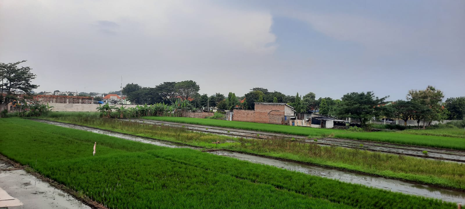 Petani Kota Pasuruan Sumringah, Pemkot Bebaskan Tarif PBB-P2