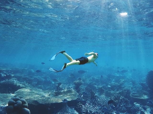 Intip Taman Nasional Wakatobi, Surganya Bawah Laut Indonesia!