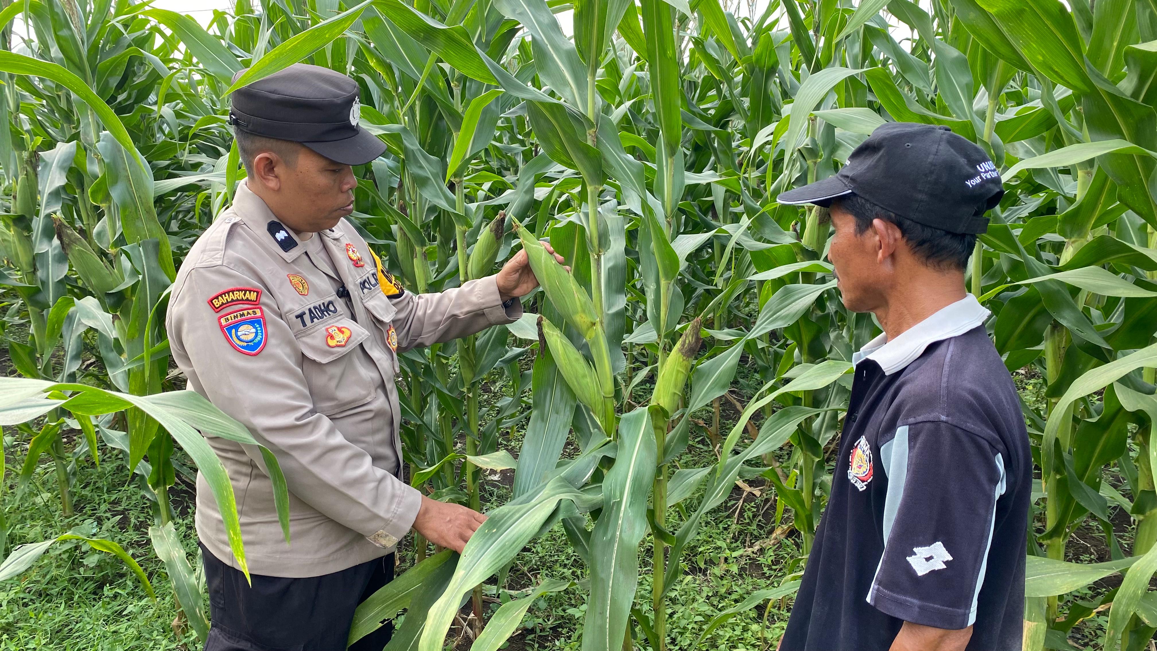 Bhabinkamtibmas Desa Bakung Temenggungan Masifkan Program Ketahanan Pangan Polresta Sidoarjo