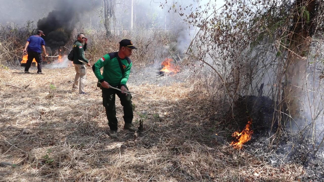 Hutan Waduk Bening Terbakar, Diatasi dalam Simulasi