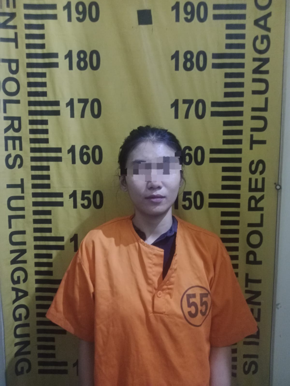 Diduga Gelapkan Uang Penjualan Rp164 Juta, Perempuan Asal Pakel Diciduk Polisi