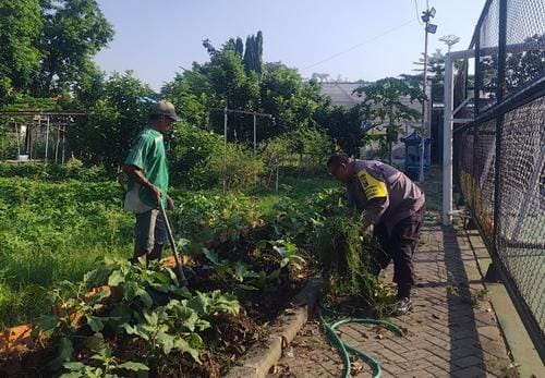 Kapolsek Rungkut Apresiasi Langkah Poktan Tugu RW 09 Manfaatkan Lahan Produktif demi Ketahanan Pangan