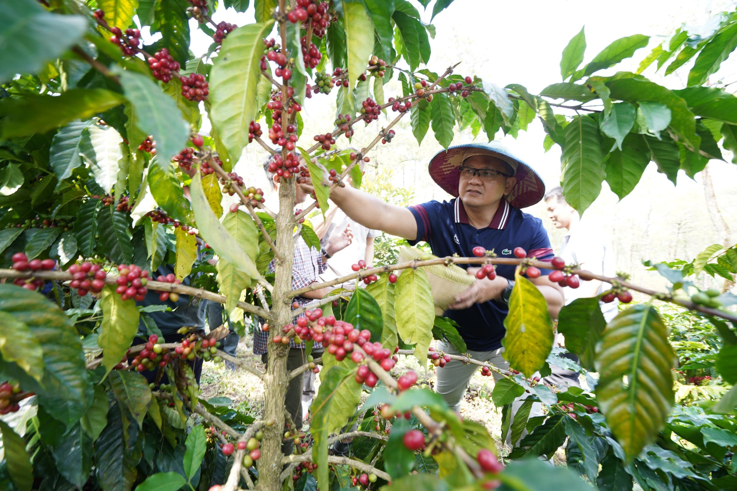 Pj Wali Kota Batu Support Produksi Kopi