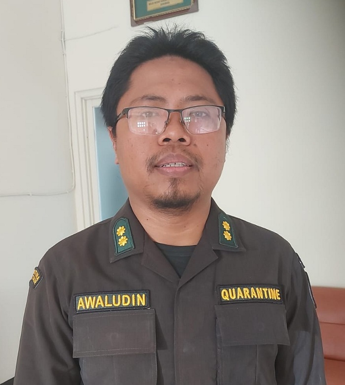 Karantina Tanjung Perak Perketat Pemeriksaan Ternak Jelang Iduladha