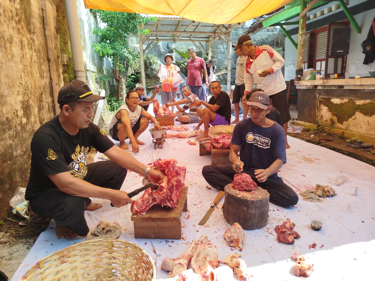 Aksi Nyata GSB Jember: Sembelih 2 Sapi dan Berbagi Berkah untuk Masyarakat Sekitar