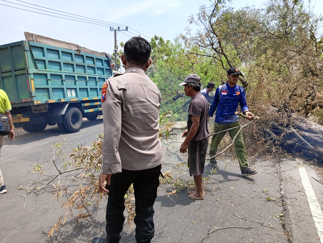 Polsek Ngimbang Evakuasi Pohon Tumbang di Jalan Raya Babat-Jombang
