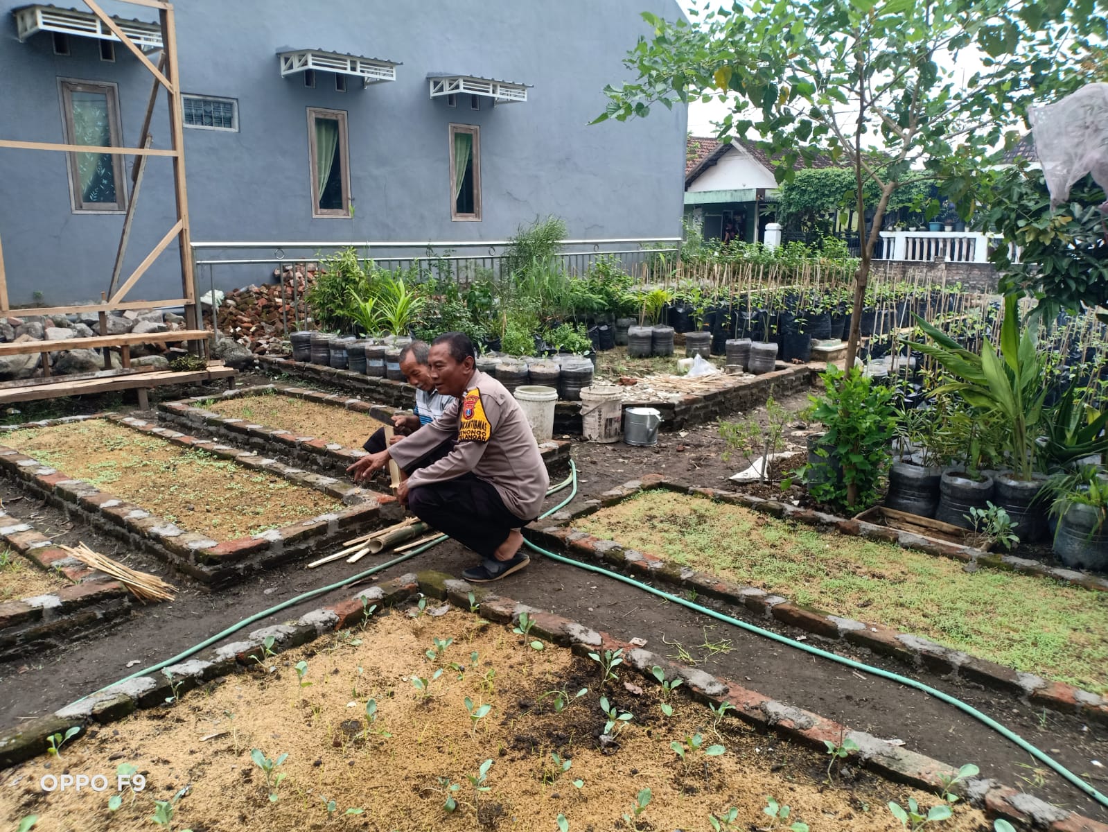 Polsek Tulangan Pantau Lahan Sayur Desa Kenongo