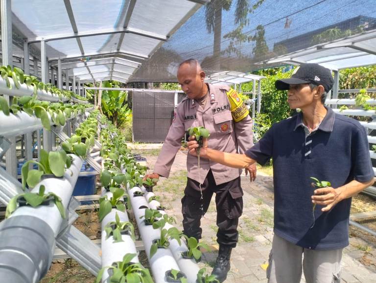 Dukung Ketahanan Pangan, Bhabinkamtibmas Polsek Pabean Cantikan Bina Warga Surabaya Kembangkan Hidroponik