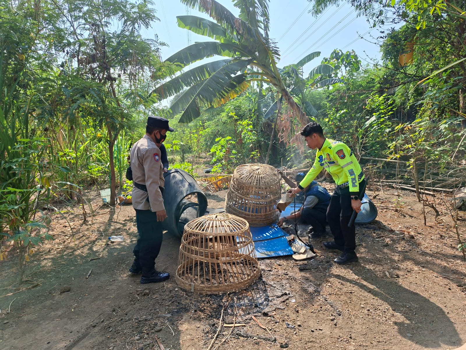 Polsek Waru Bongkar Arena Sabung Ayam di Bungurasih