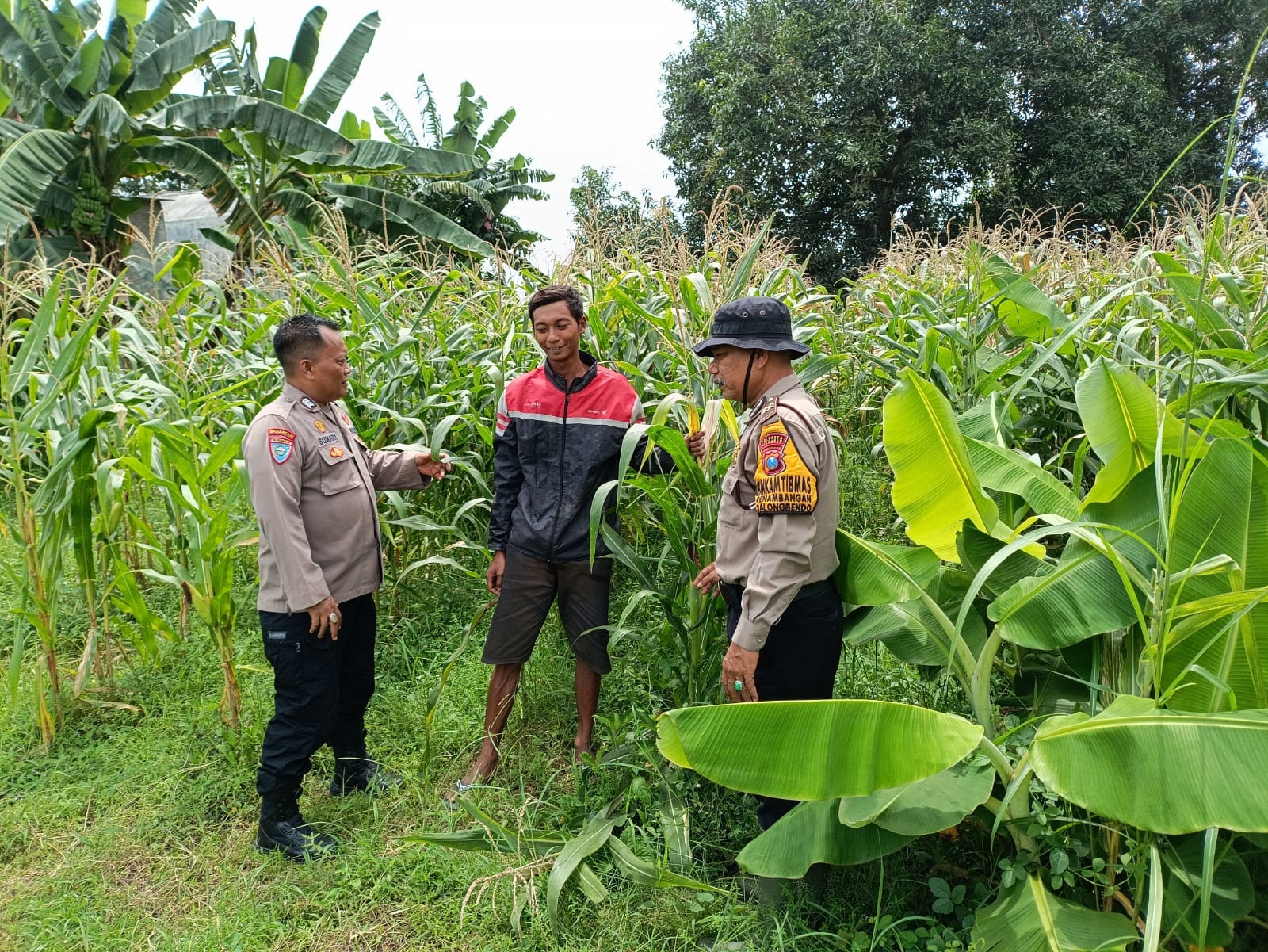 Polisi Turun ke Pekarangan Penambangan Balongbendo, Dukung Ketahanan Pangan