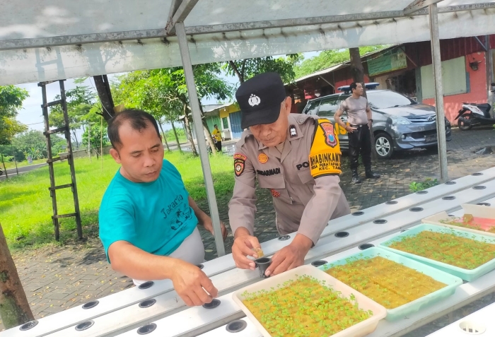 Tanam Sayur Hidroponik, Warga Pertapanmaduretno Taman Diapresiasi Polisi
