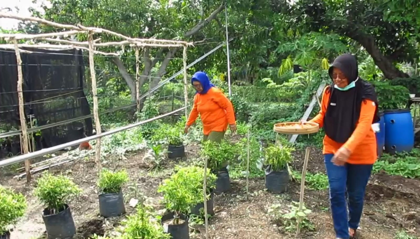 Cabai Sachet, Solusi Cerdas Warga Surabaya Hadapi Lonjakan Harga Jelang Nataru