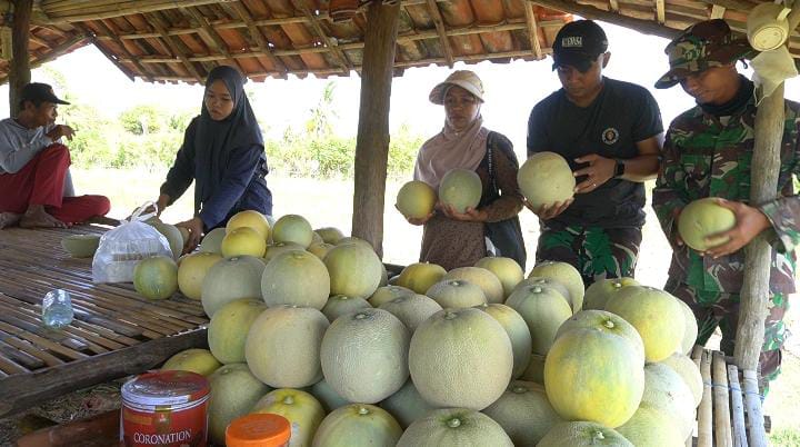 Makin Akrab, Satgas TMMD 121 Kodim 0827/Sumenep Bantu Petani Melon