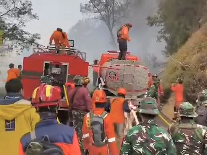 Tim Gabungan Padamkan Karhutla di Kawasan Dingklik Bromo Pasuruan