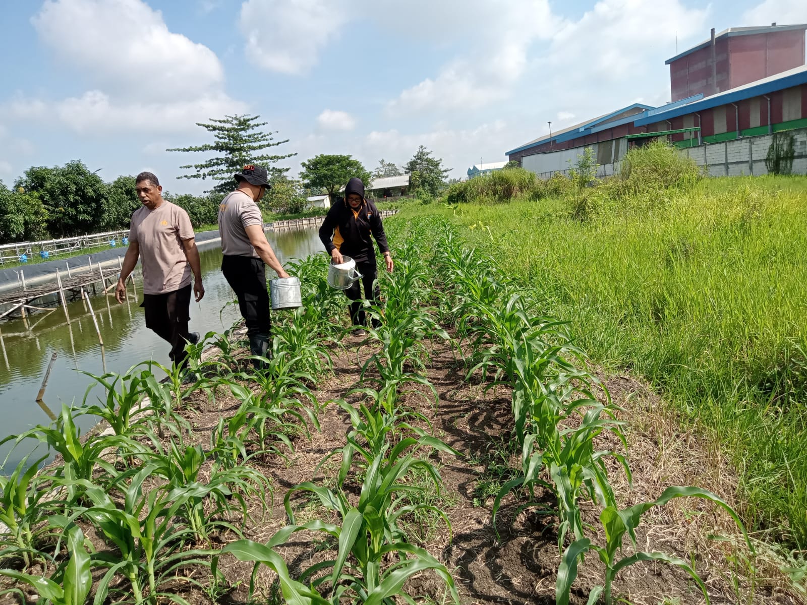 Polsek Krian Tinjau Perawatan Tanaman Ketahanan Pangan