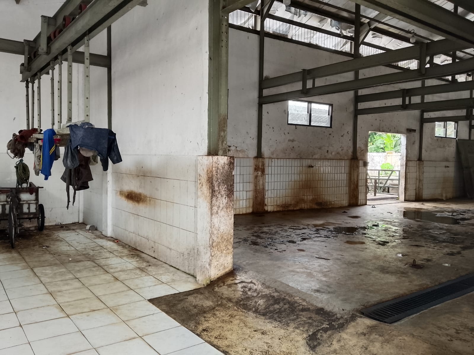 Surat Edaran Tak Digubris RPH Jombang Sepi Aktivitas