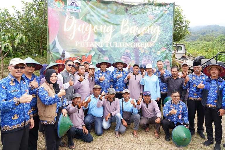 Pemkot Batu Dorong Pemulihan Produksi Apel di Desa Tulungrejo