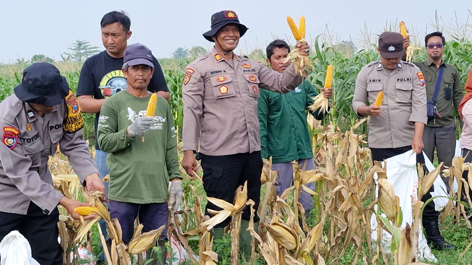 Kapolsek Balongbendo Ajak Elemen Terkait Tinjau Perkembangan Tanaman Jagung Dukung Program Ketahanan Pangan