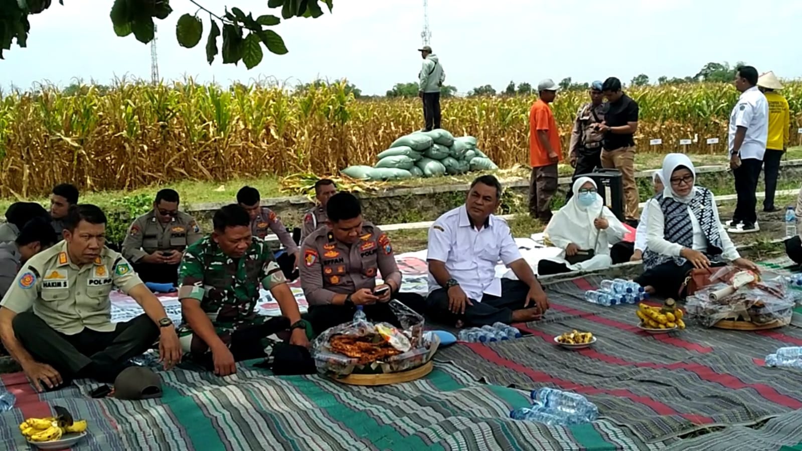 Dukung Swasembada Pangan, Polda Jatim Gelar Panen Raya Jagung 27 Hektare di Desa Kalimati Tarik