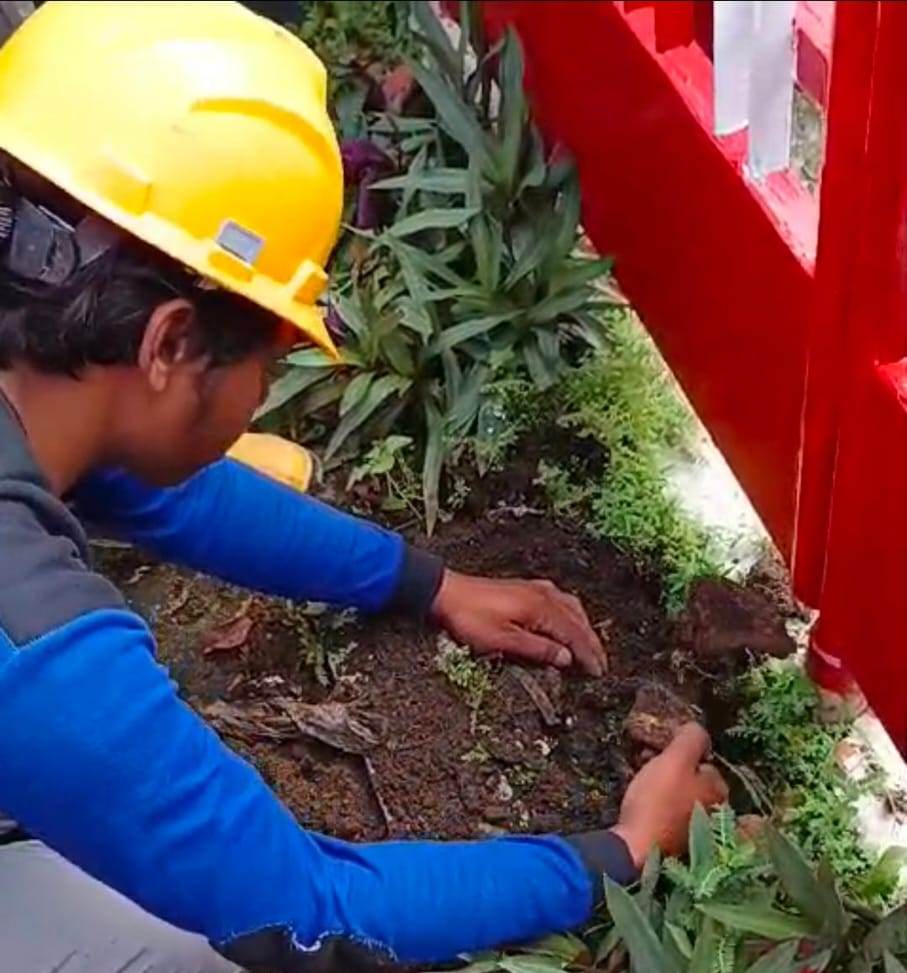 Tulang Hewan Ditemukan saat Perbaikan Saluran Tandon Air di Depan Kantor PDI-P Surabaya: Praktik Mistis!