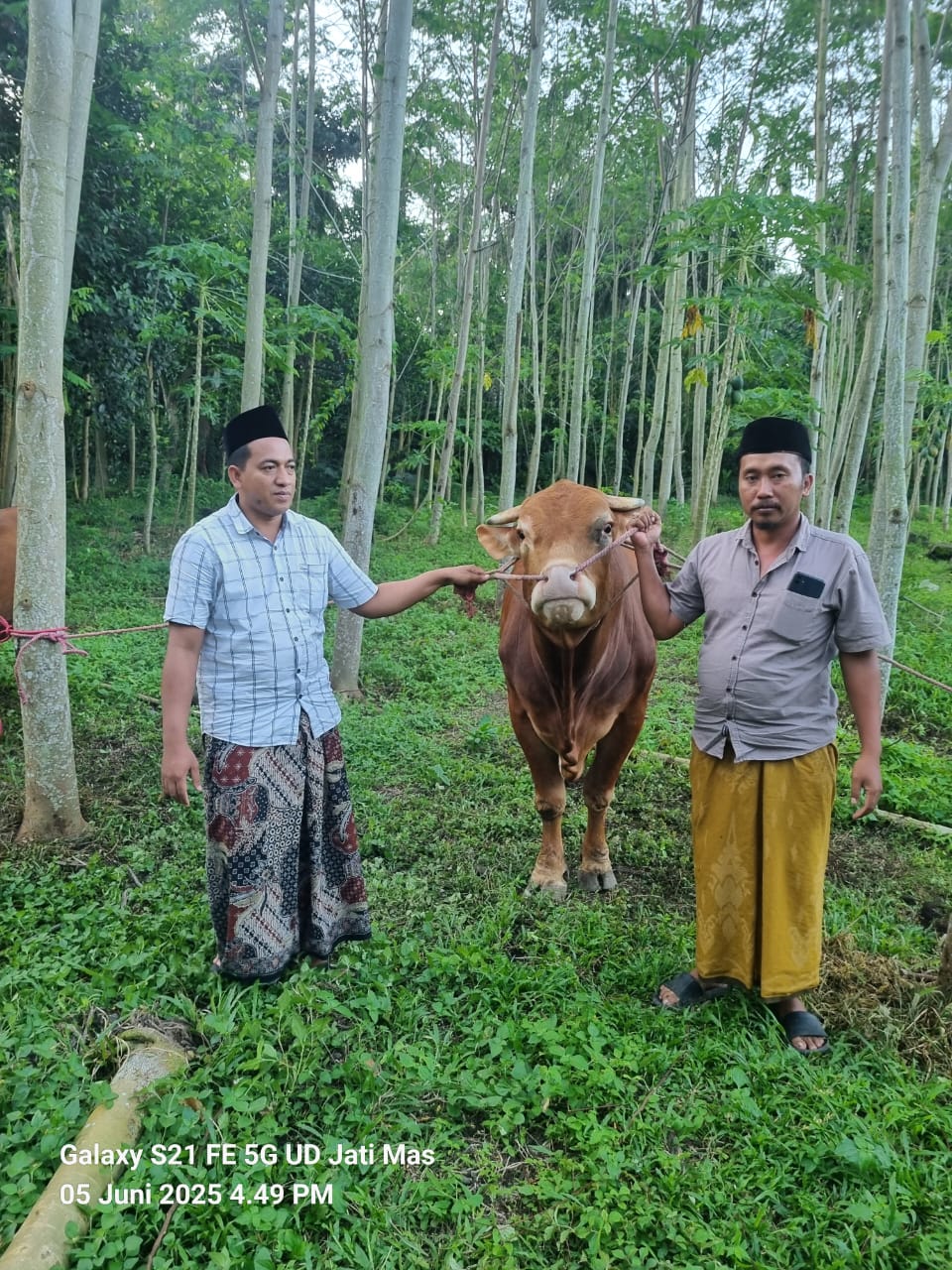 UD Jati Mas Ranubedali Ranuyoso Sembelih Hewan Kurban untuk Warga