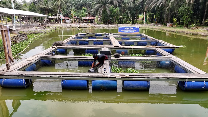Terus Bergeliat, Pemberdayaan BRI Ungkit Perekonomian Desa Empang Baru