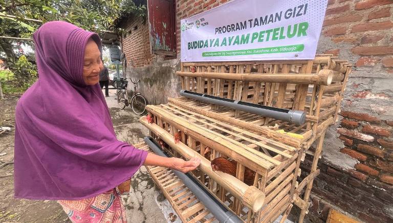  Warga Sidoarjo Budidaya Ayam Petelur untuk Bangun Ketahanan Pangan