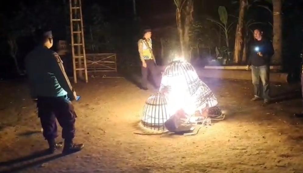 Digerebek Polisi, Arena Sabung Ayam di Kalipare Sepi