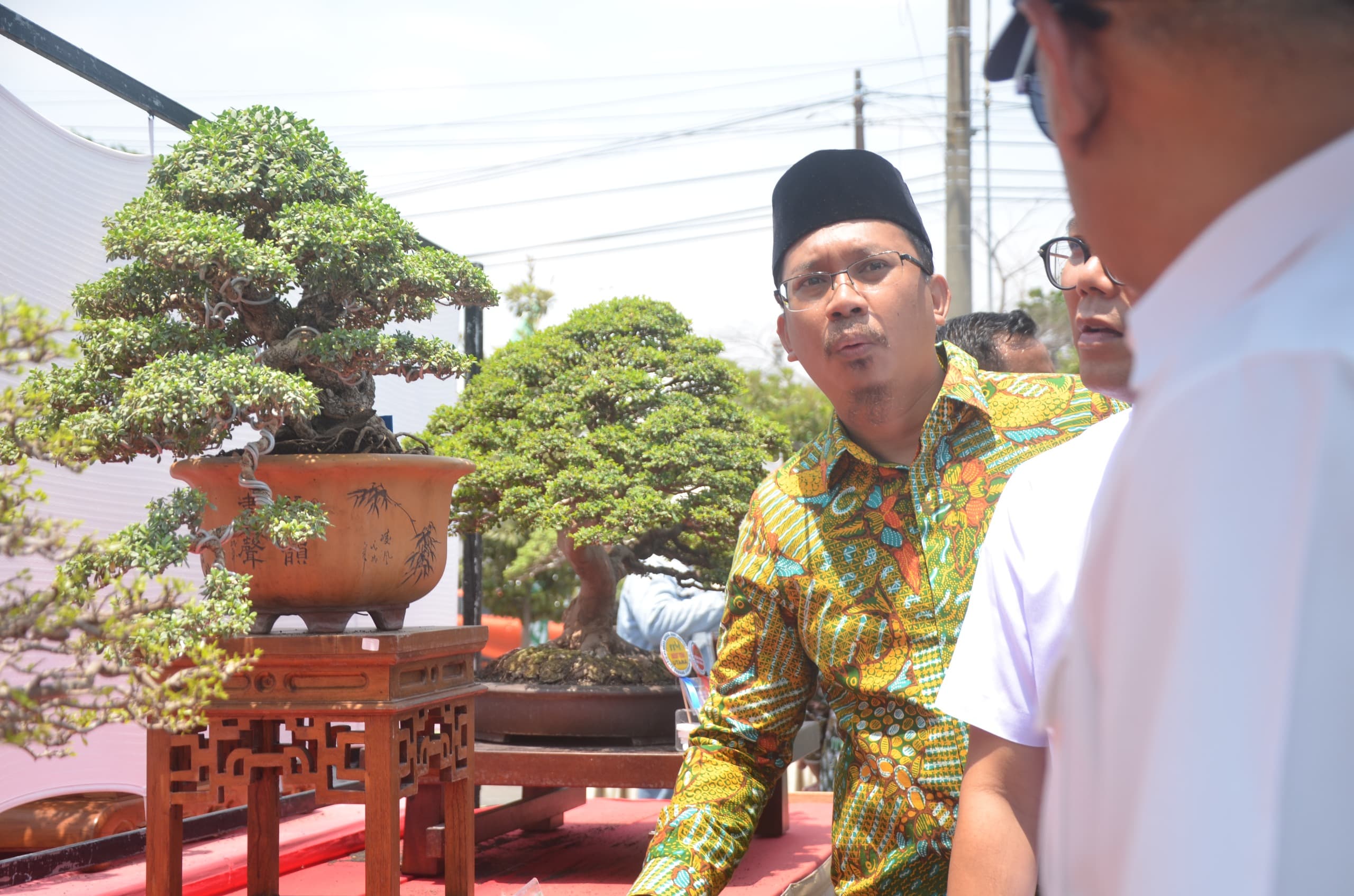 Gus Muhdlor Dorong Seni Bonsai Jadi Ekonomi Kreatif