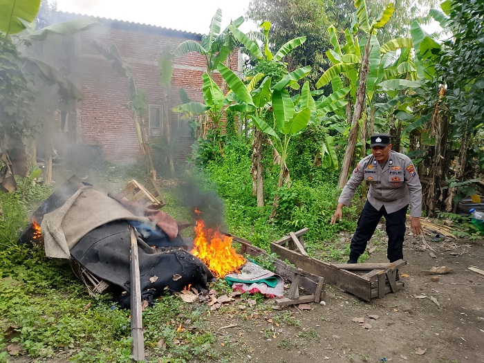 Arena Sabung Ayam Plumbungan Sukodono Dibakar