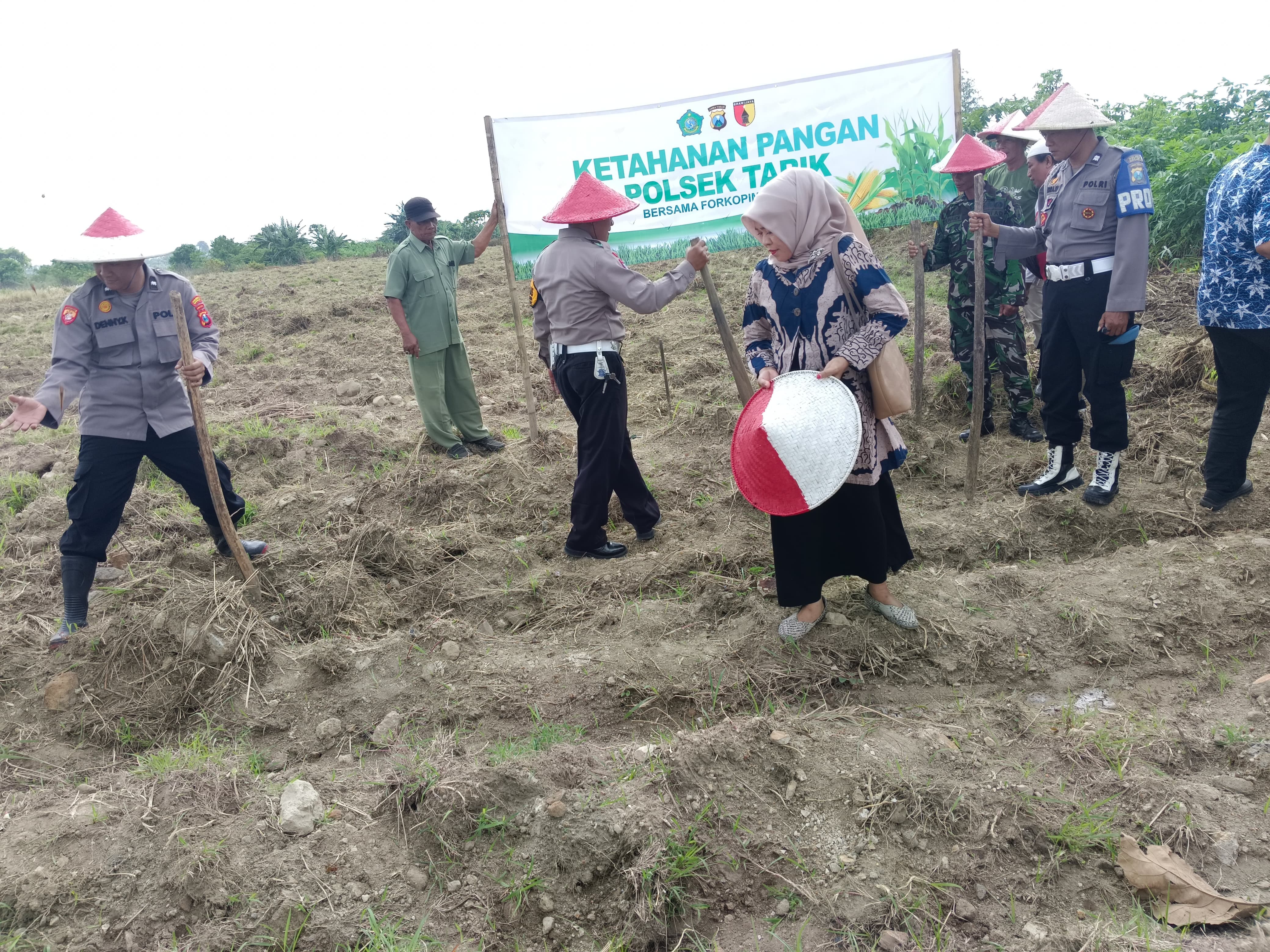 Dukung Ketahanan Pangan Melalui Penanaman Bibit Jagung di Desa Gampingrowo