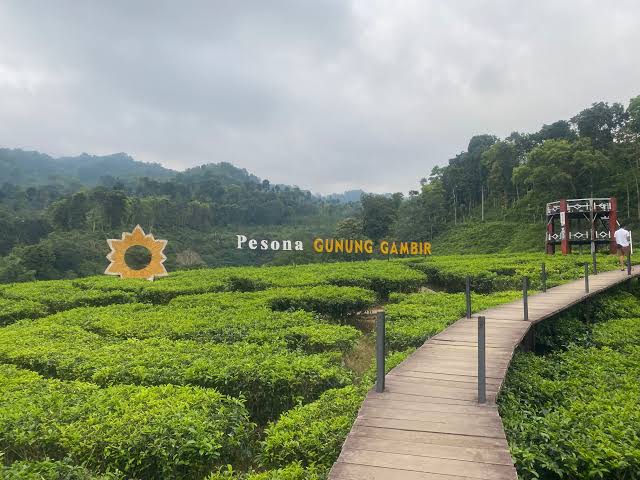 7 Destinasi Wisata di Jember yang Memukau, Siap Mengisi Liburanmu