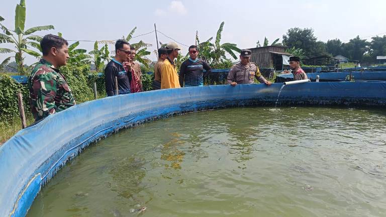 Polsek Gempol Gandeng Gapoktan Kembangkan Budi Daya Lele