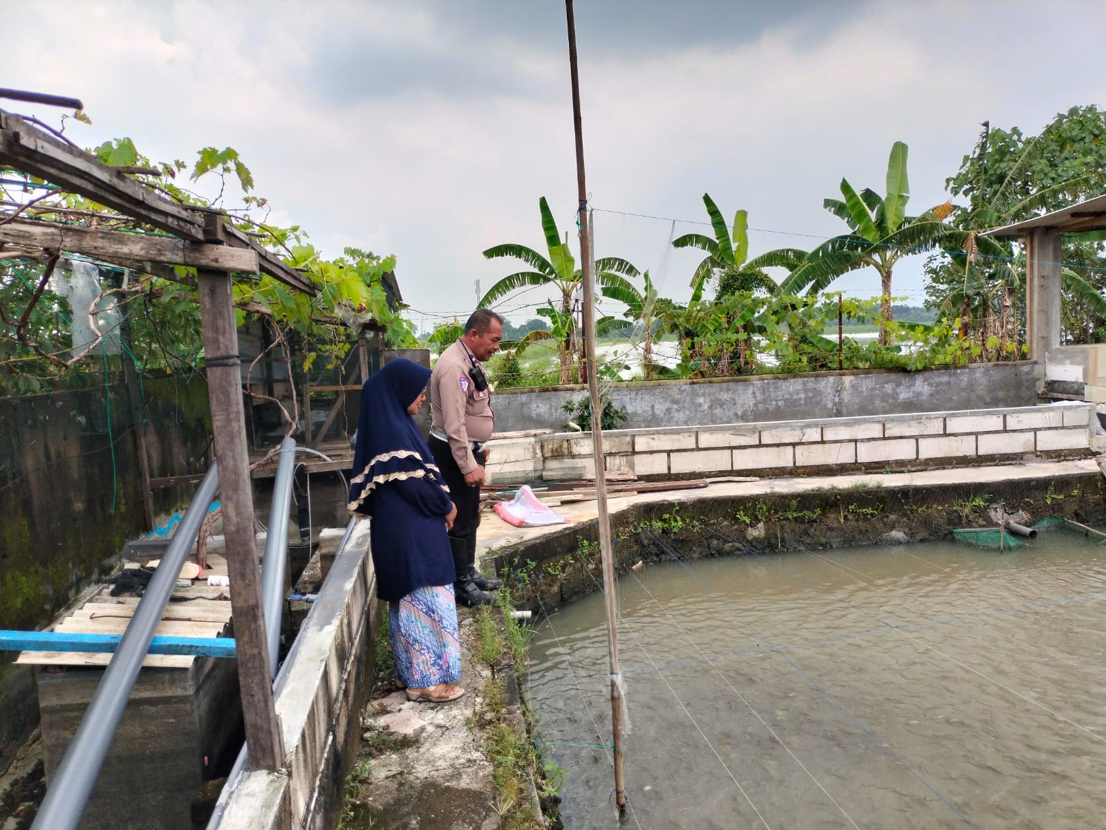 Polsek Porong Edukasi Pembudidaya Nila Wunut