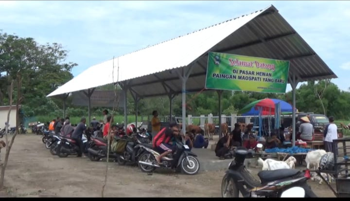 Disperindag Magetan Sukses Relokasi Pasar Hewan Pahingan Maospati