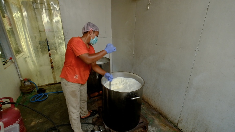 Produksi Susu Sapi Boyolali Naik Empat Kali Lipat, Suplai Capai 2.000 Liter Per Hari