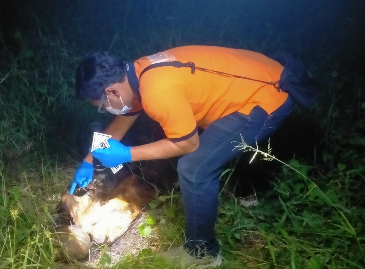 Geger! Pemancing Temukan Kerangka Manusia Tanpa Identitas di Sememi Surabaya